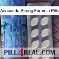 Anaconda Strong Formula Pills 34